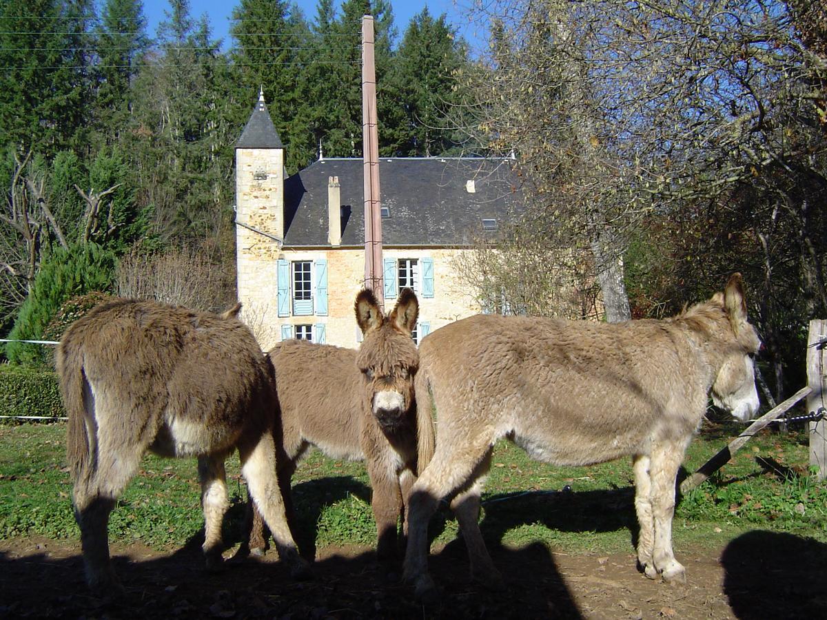 مبيت وإفطار Le Vigan  Le Moulin De Planiol المظهر الخارجي الصورة